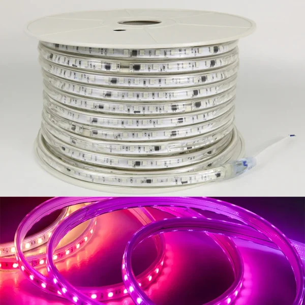220V 5050 Driverless LED Strip 100m Roll IP65 à prova d'água Rgbic Strip luminárias RGB Dream cor iluminação