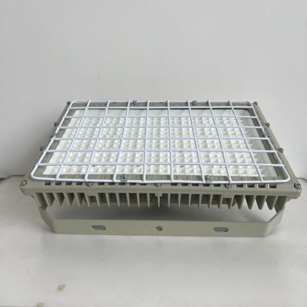 High Quality Led Explosion Proof iluminação 100W Explosion Proof lâmpadas