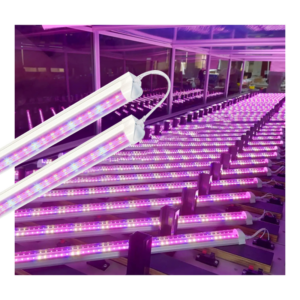 Factory Recommended Full Spectrum IP65 LED