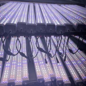Undercanopy 120w 4ft 6500k LED linear