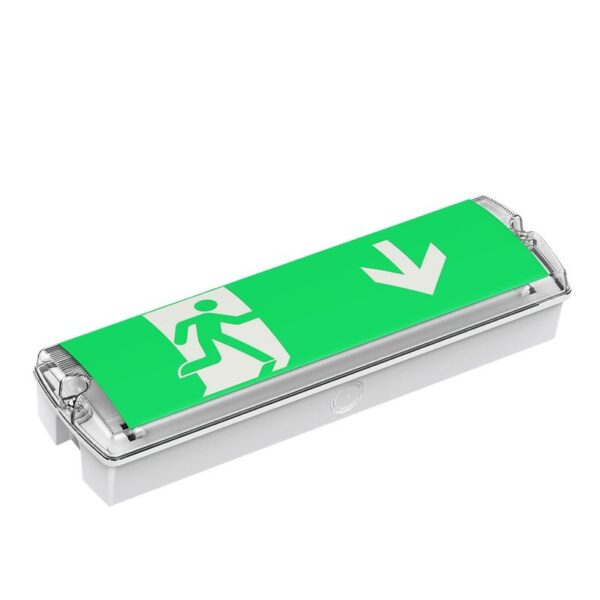 Best-selling CE, UKCA, IP65 à prova d'água Emergency luminárias in Europe
