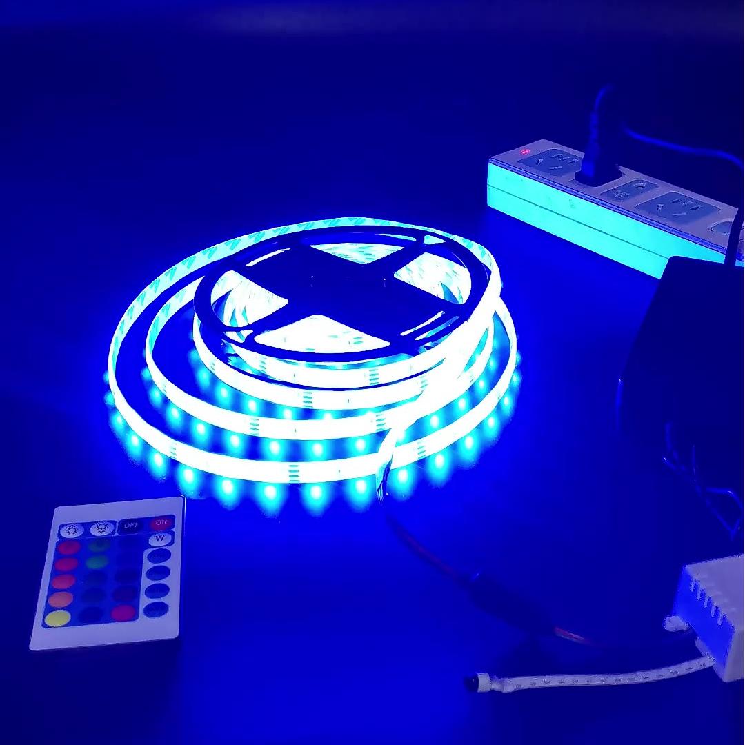 mais vendido 12V 220V 2835 Chip Christmas Holiday luminárias IP65 iluminação externa RGB inteligente Changing Six cores 54 Led luminárias
