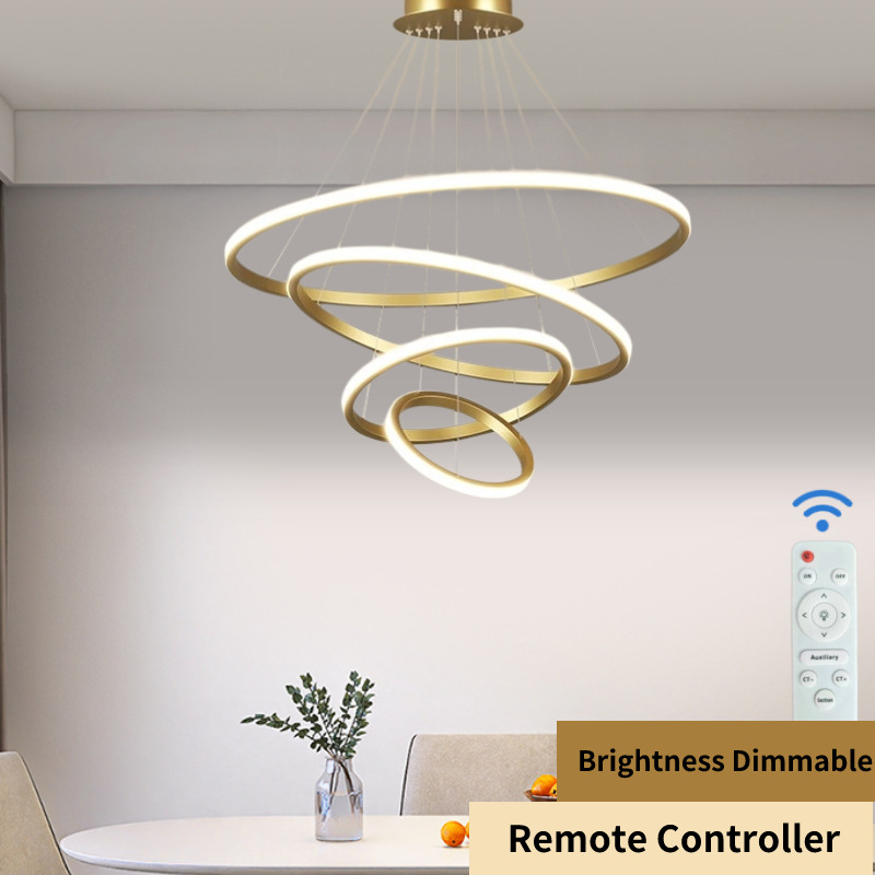 Modern Popular Circle Pendant Light Indoor Living Room Bedroom Hotel Lighting LED Ring Large Pendant Lamp Chandelier