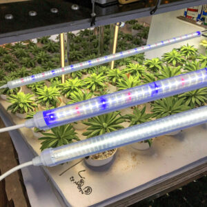 Customize Full PVC Plastic 3ft 90cm