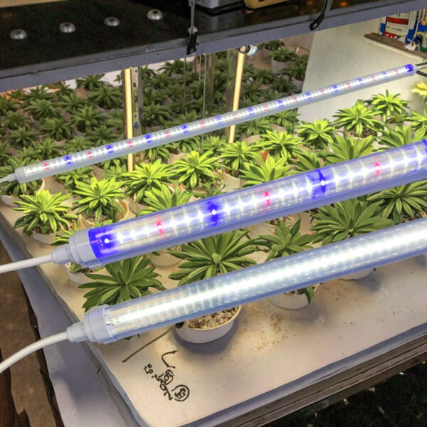 Customize Full PVC Plastic 3ft 90cm