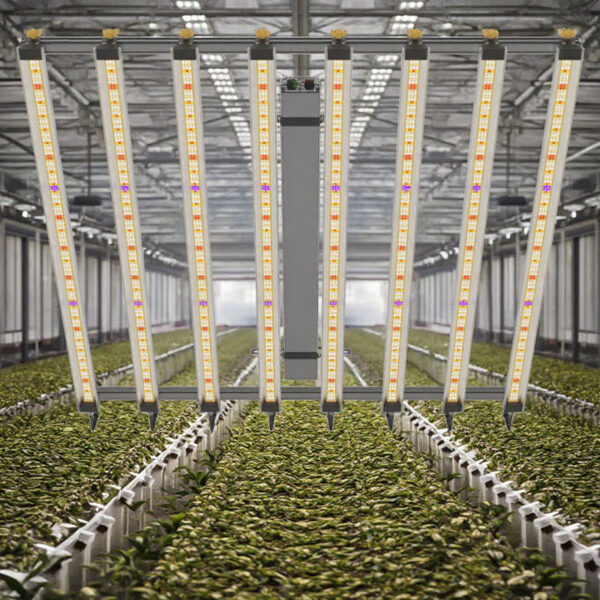 4x4 800w Led Full Spectrum Plant