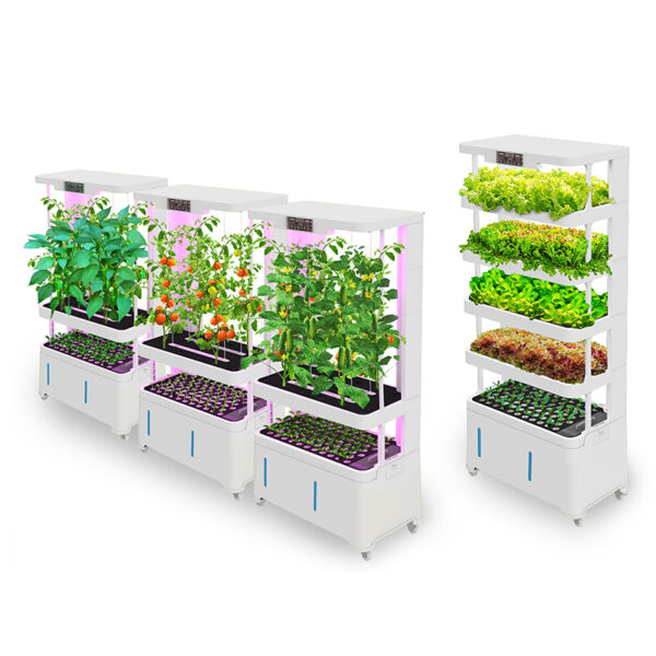 Hydroponic Equipment interno Gardening Automatic Vertical Hydroponic Growing System