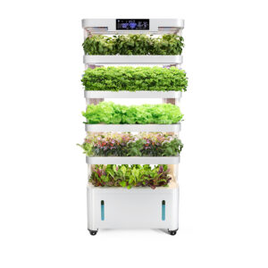 Hot Selling 60W 34L Five Layers Full-Spectrum LED luminária grow modular hidroponia System Pump Easy Operate para sala de estar