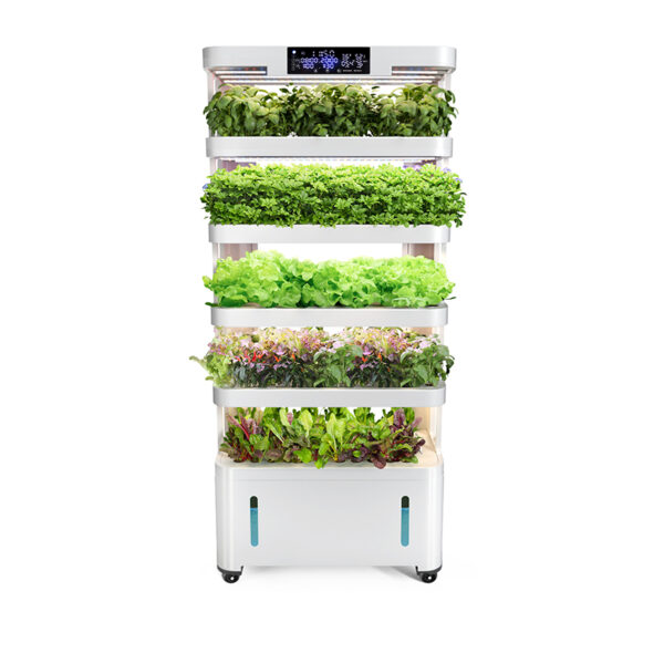 Hot Selling 60W 34L Five Layers Full-Spectrum LED Grow Light Modular Hydroponics System Pump Easy Operate for Living Room