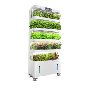 Cheap Pice Five Layers 60W 34L Nutrient Solution Tank Led Grow Light Modular Hydroponics Growing System