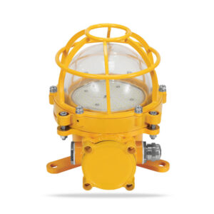 Explosion-proof luminária 60W-Incandescent luminária Source IP66 316L