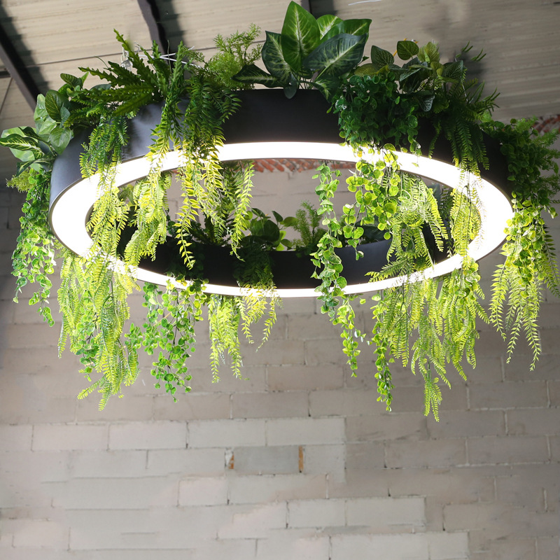 Circular LED preto Planter pendente luminária para Lounges Offices Reception Areas Retail Shops Restaurants Showrooms