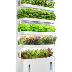 Hydroponic Greenhouse luminária Equipment inteligente Pump Home Growing Systems Easy to Operate 1 Year Warranty