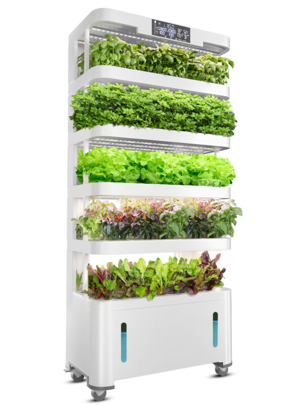 Hydroponic Greenhouse luminária Equipment inteligente Pump Home Growing Systems Easy to Operate 1 Year Warranty