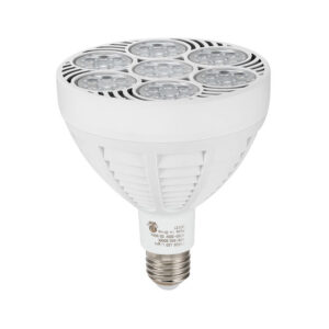 US Standard lâmpada LED 60W PAR38