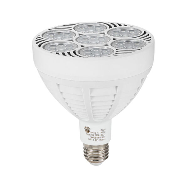 US Standard lâmpada LED 60W PAR38